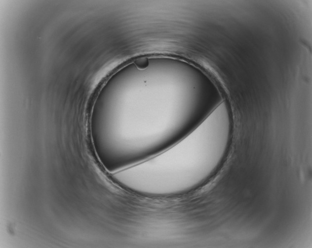 X0000099531077200805160719