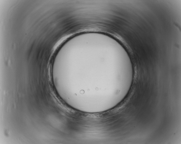 X0000099531078200805160719