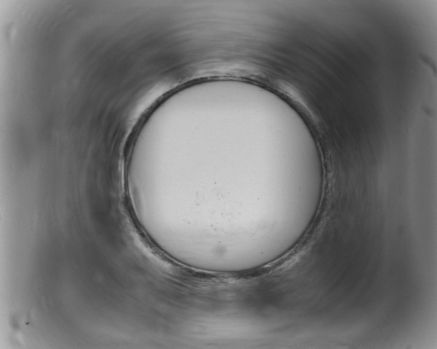 X0000099531079200805160719