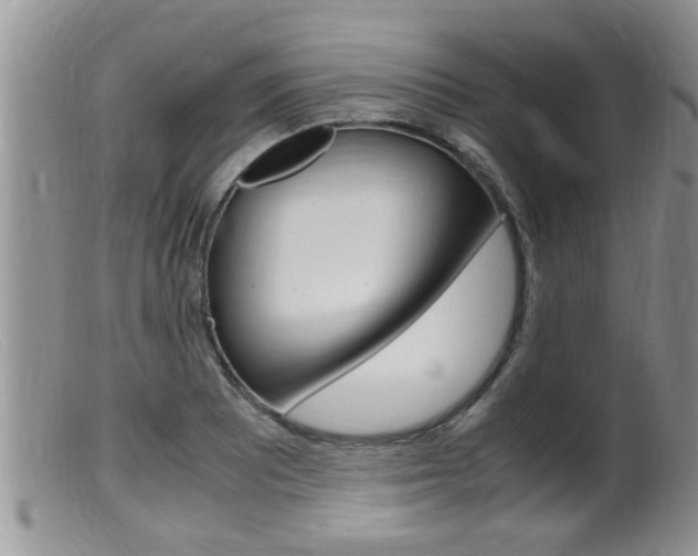 X0000099531081200805160719