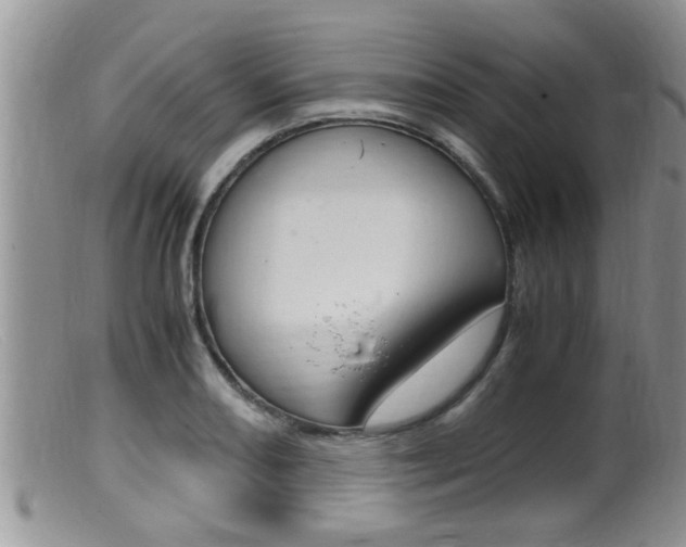 X0000099531082200805160719