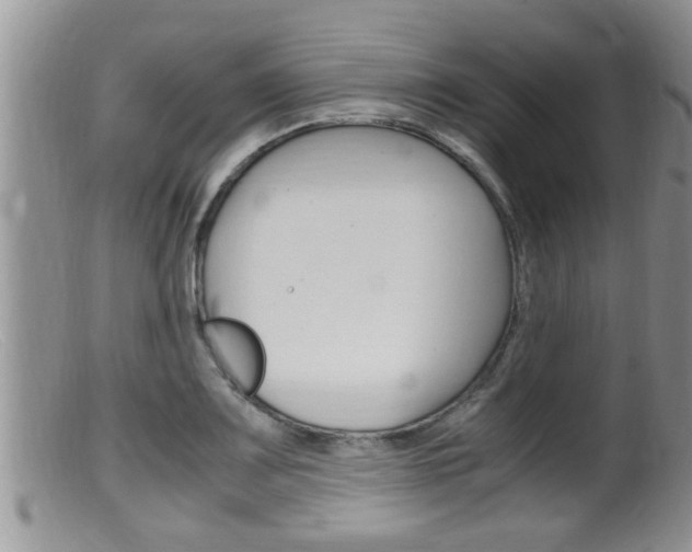 X0000099531083200805160719