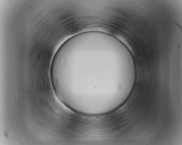 X0000099531084200805160719