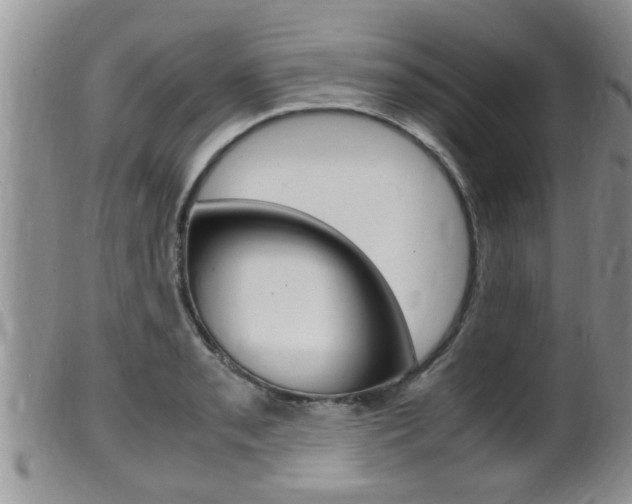 X0000099531085200805160719