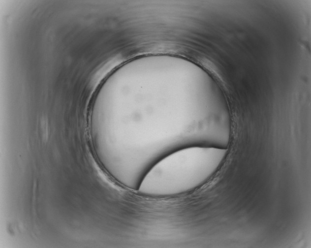 X0000099531087200805160719
