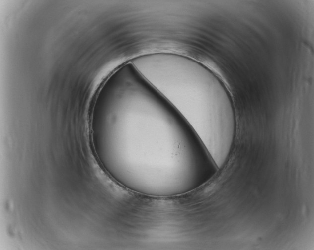 X0000099531088200805160719