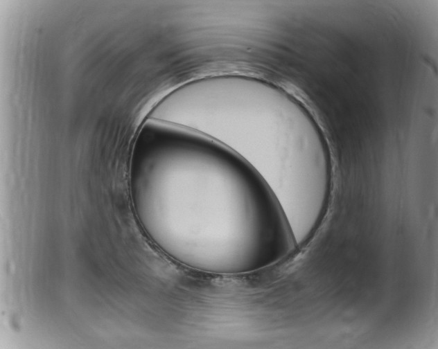 X0000099531089200805160719