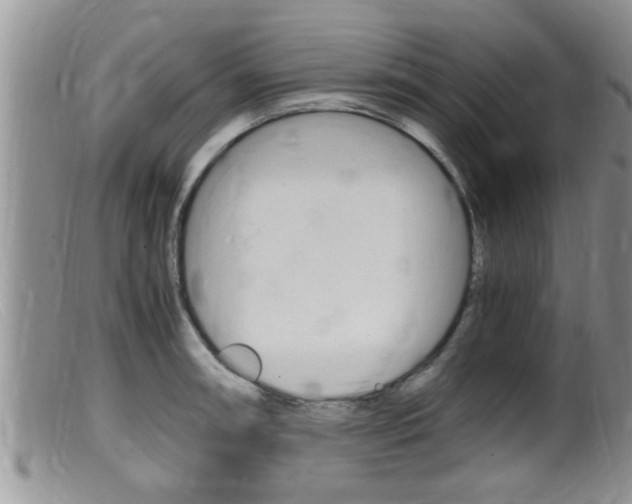 X0000099531090200805160719
