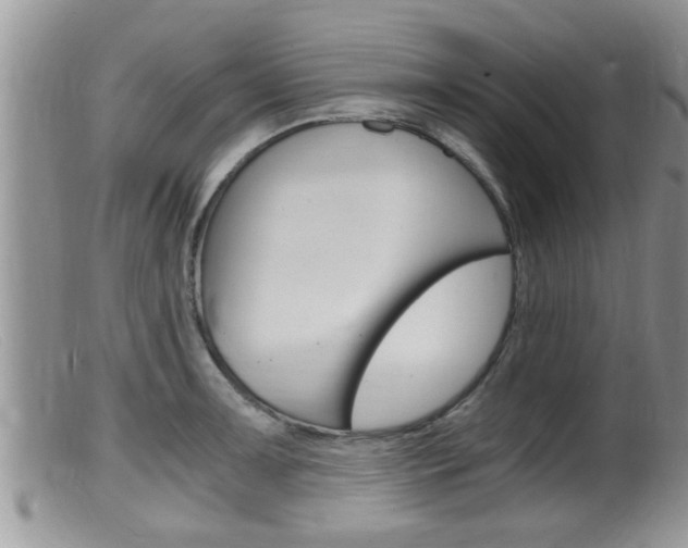 X0000099531091200805160719