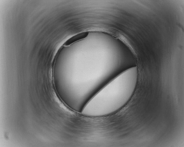 X0000099531092200805160719