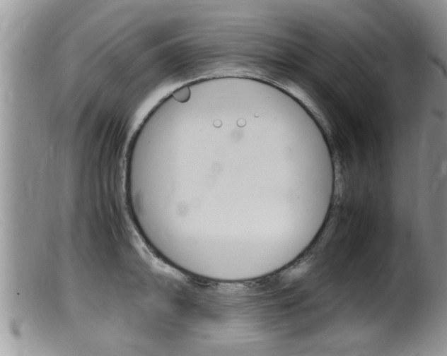 X0000099531094200805160719