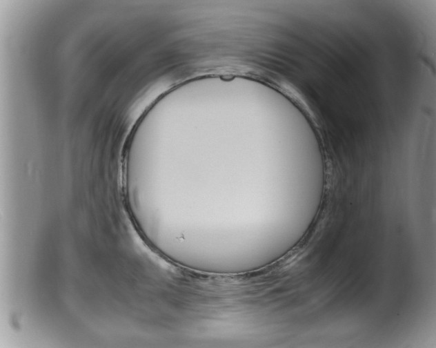 X0000099531095200805160719