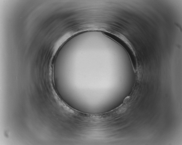 X0000099531096200805160719