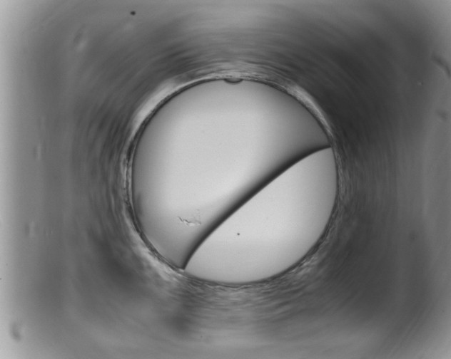 X0000099531099200805160719