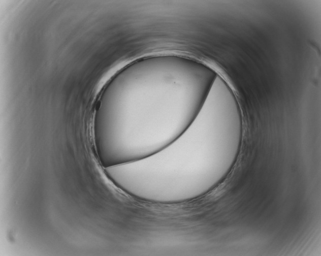 X0000099531101200805160719