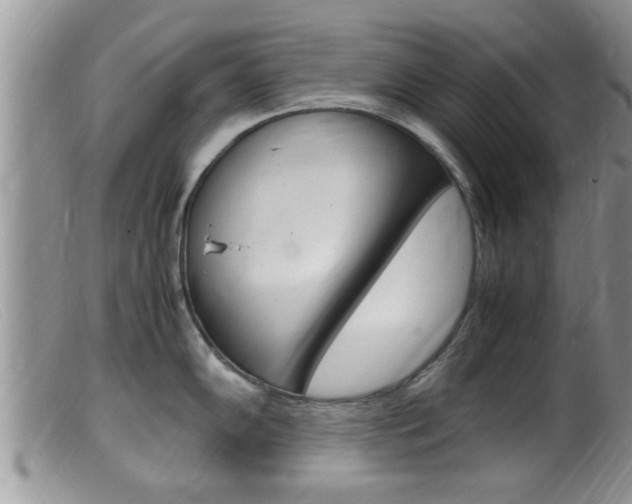 X0000099531102200805160719