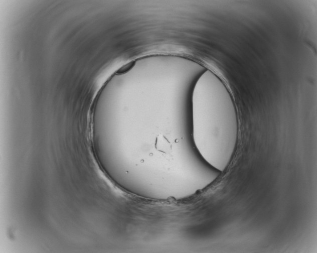 X0000099531103200805160719
