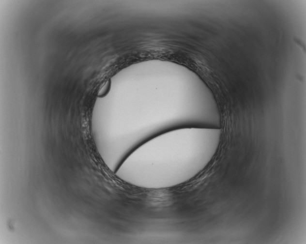 X0000099531109200805160718