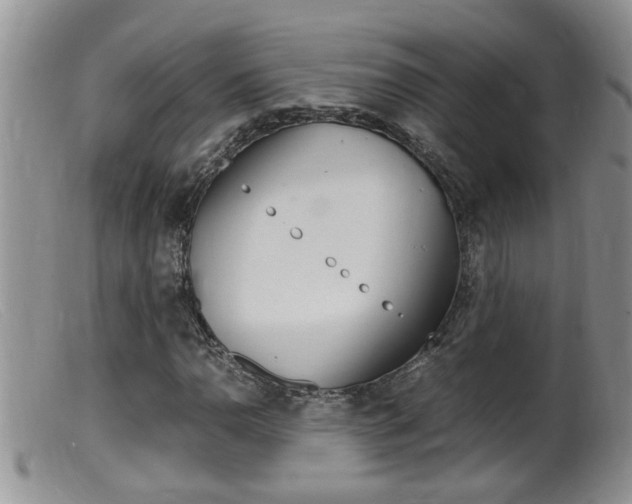 X0000099531110200805160718