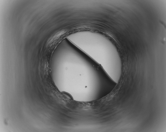 X0000099531111200805160718