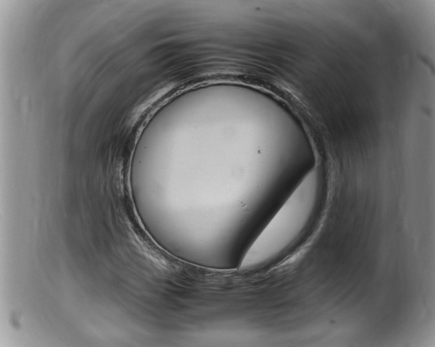 X0000099531113200805160718
