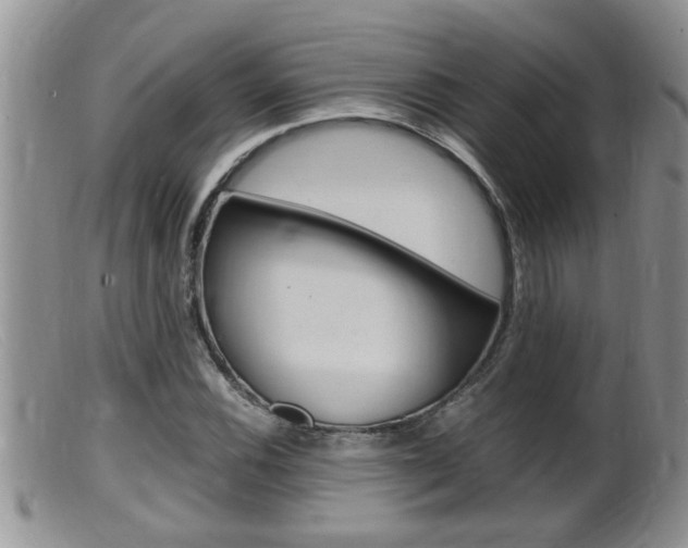 X0000099531116200805160718