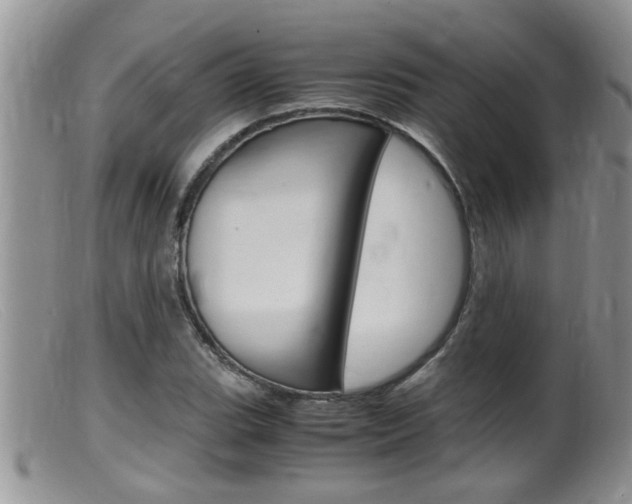 X0000099531119200805160718