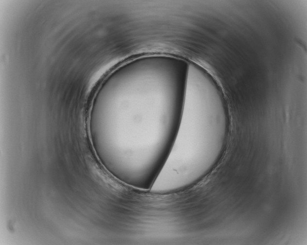 X0000099531120200805160718