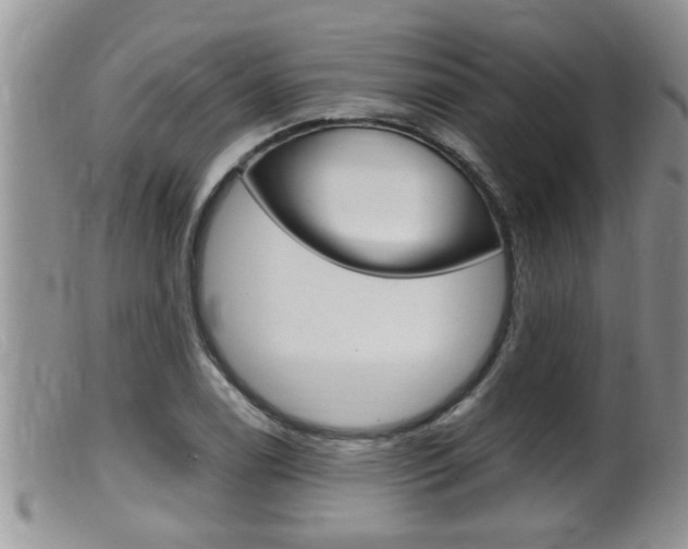 X0000099531122200805160718