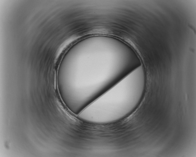 X0000099531123200805160718