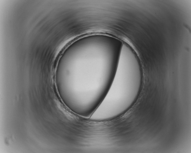 X0000099531124200805160719