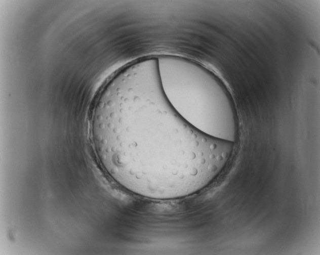 X0000099531125200805160719
