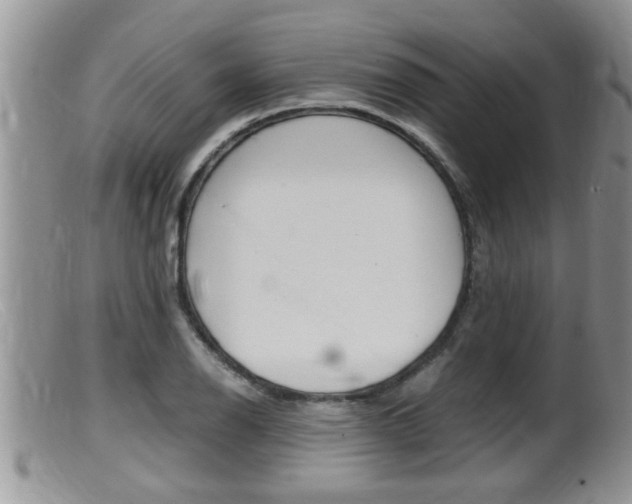 X0000099531126200805160719