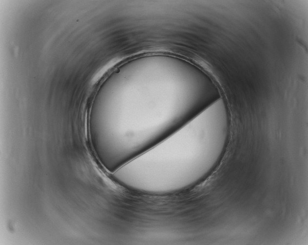 X0000099531127200805160719