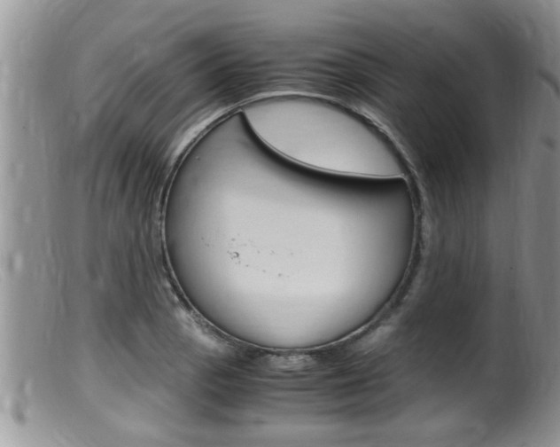 X0000099531129200805160719