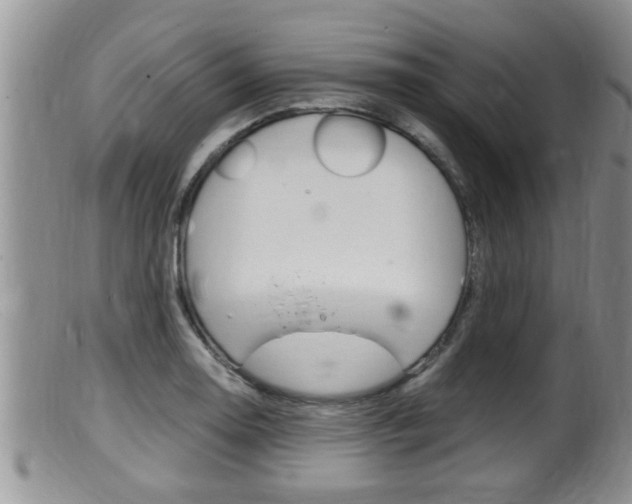 X0000099531130200805160719