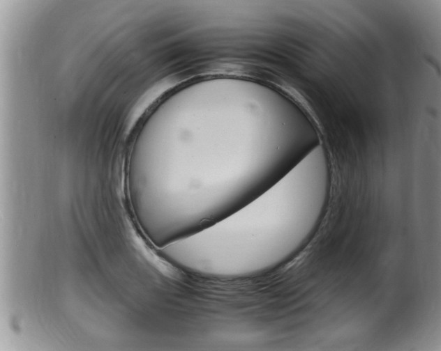 X0000099531131200805160719