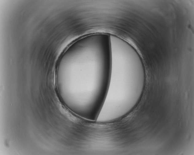 X0000099531132200805160719