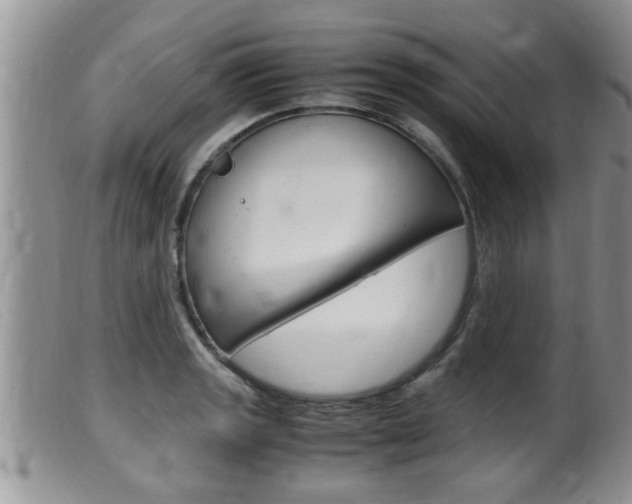 X0000099531133200805160719