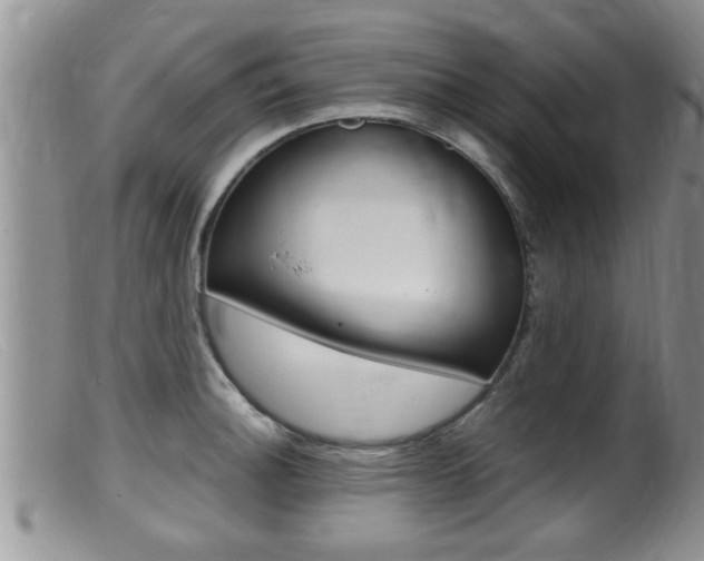 X0000099531140200805160719