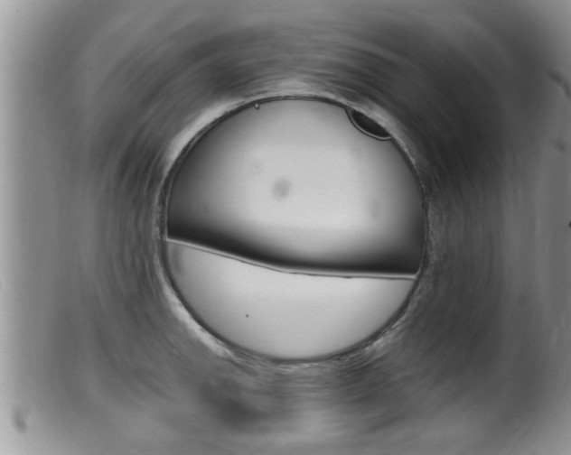X0000099531142200805160719