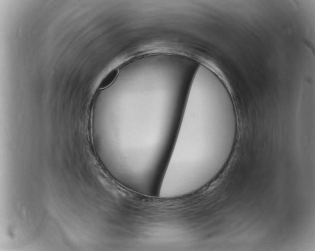 X0000099531146200805160719
