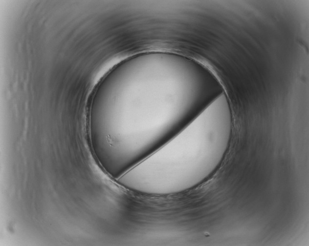 X0000099531147200805160719