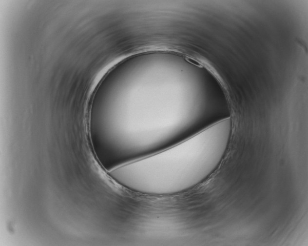 X0000099531148200805160719