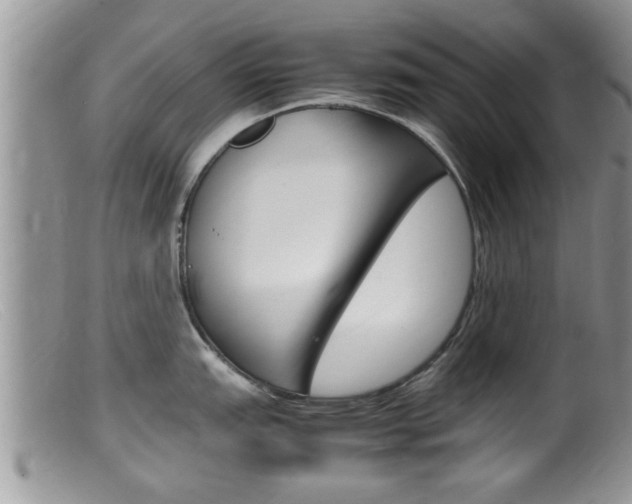 X0000099531151200805160719