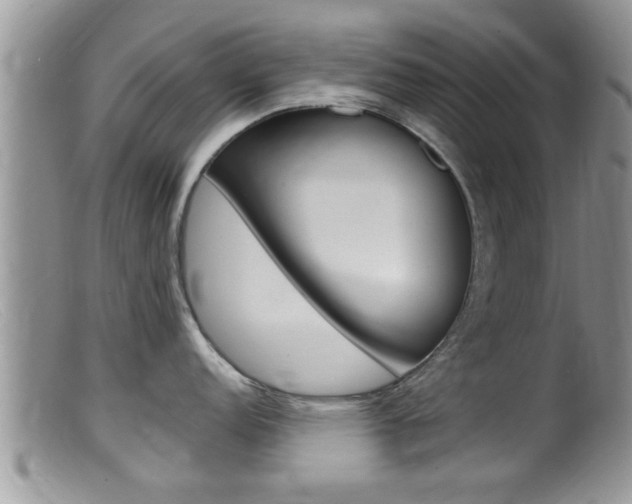 X0000099531152200805160719