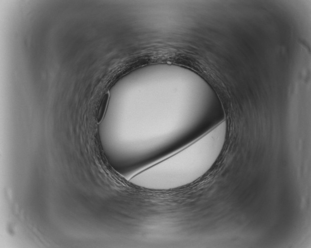X0000099531153200805160718