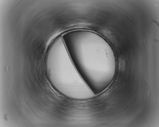 X0000099531164200805160718
