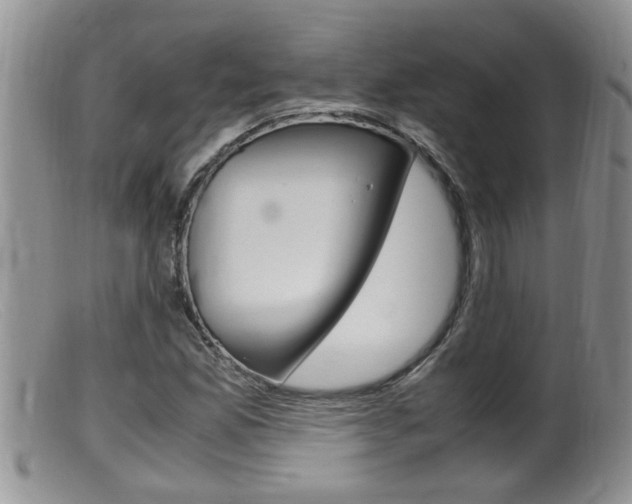 X0000099531165200805160718