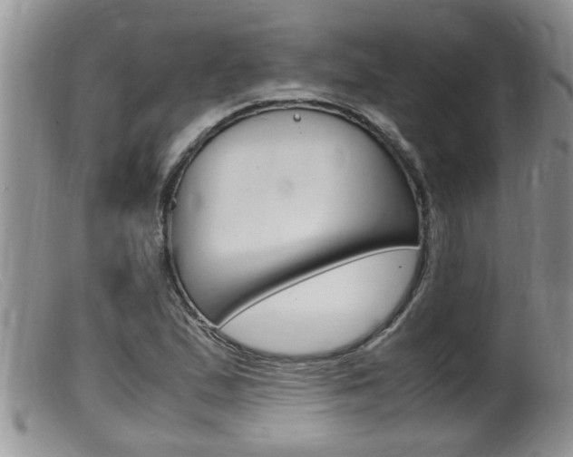 X0000099531167200805160718